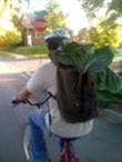 Green Team Bicycling